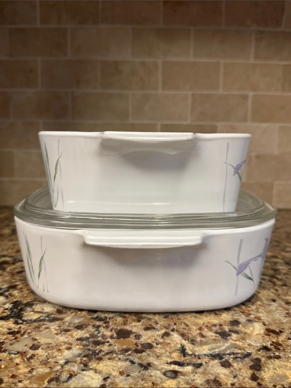 Corningware Shadow Iris Casserole Baking Dishes 1.5 & 2 Liter Set with Lid